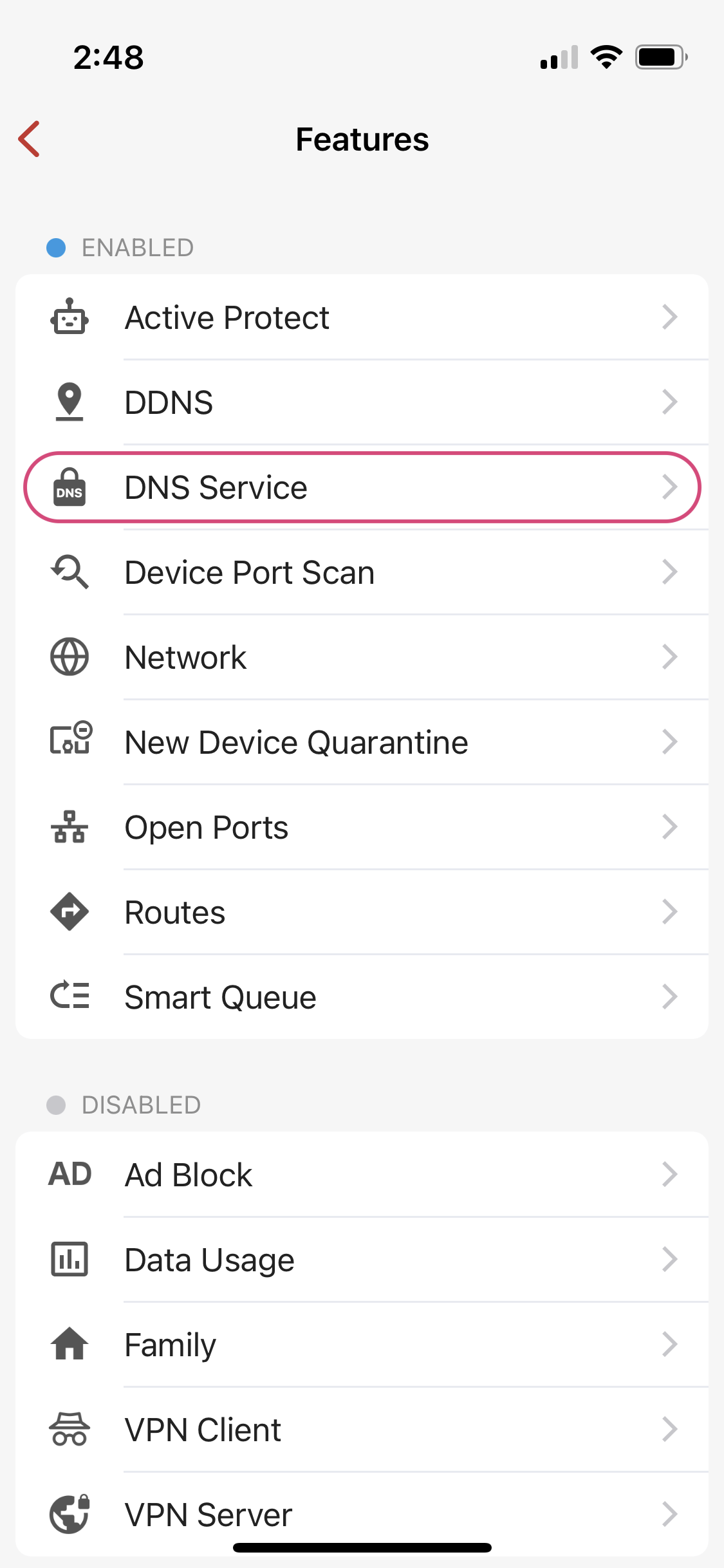 Select the DNS Service option