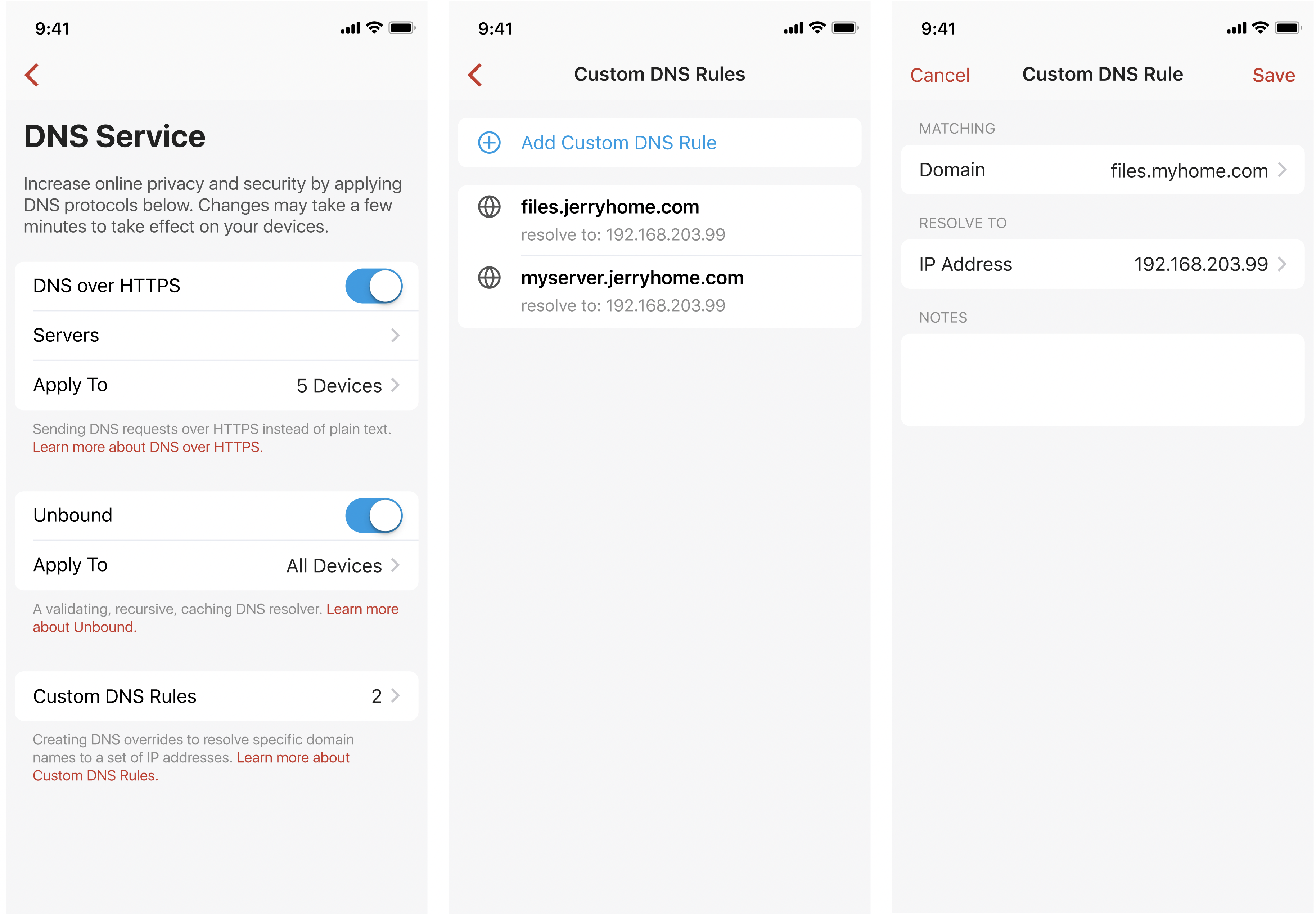Connect to the VPN In App Demo of the DNS service step.