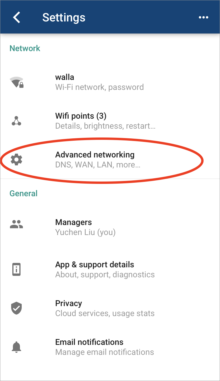Google WiFi access Advanced Networking Settings