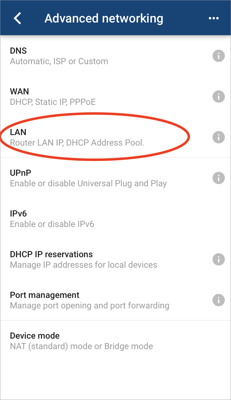 Google WiFi access Advanced Networking LAN Settings