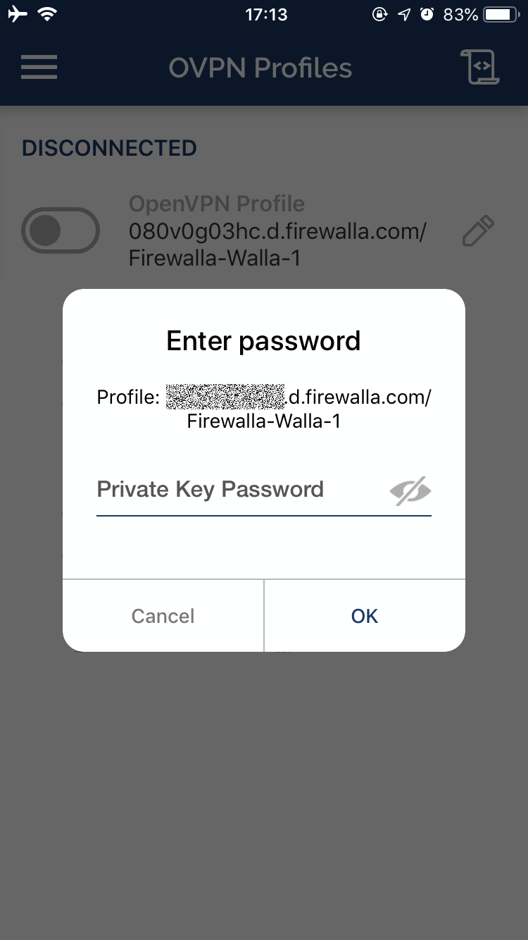 OpenVPN Mac IOS Firewalla setup - Input the password you previously noted down.
