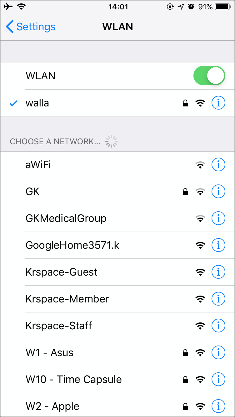 Assign static IP address in IOS Network settings