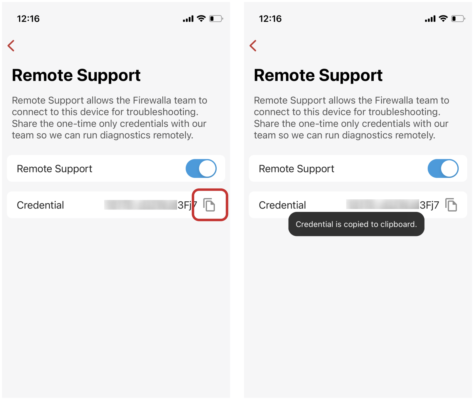 RemoteSupport2.png